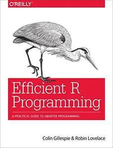 Efficient R Programming: A Practical Guide to Smarter Programming [Full eBook]