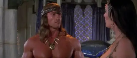 Conan il Distruttore (1984)