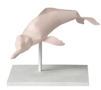 Amazon River Dolphin, Paper Craft Model