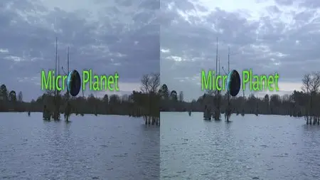 MicroPlanet 3D (2012)