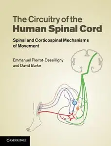 The Circuitry of the Human Spinal Cord: Spinal and Corticospinal Mechanisms of Movement (repost)