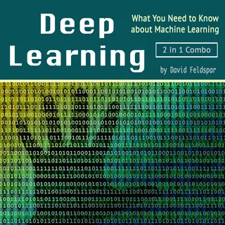 «Deep Learning: What You Need to Know about Machine Learning» by David Feldspar