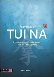 The Practice of Tui Na: Principles, Diagnostics and Working with the Sinew Channels
