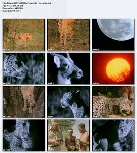 BBC Wildlife Specials : Leopard