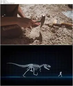 T-Rex: An Evolutionary Journey (2016)