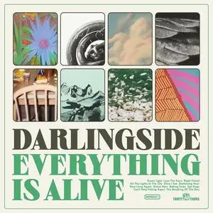 Darlingside - Everything Is Alive (2023) [Official Digital Download 24/48]