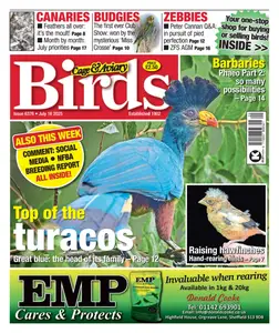 Cage & Aviary Birds - 16 July 2025