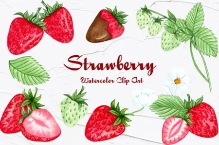 Envato - Strawberry Watercolor Clipart - R8KX2WB