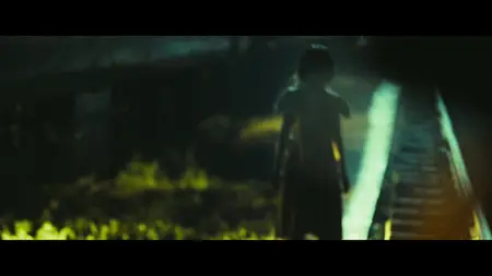 Slumdog Millionaire (2008)
