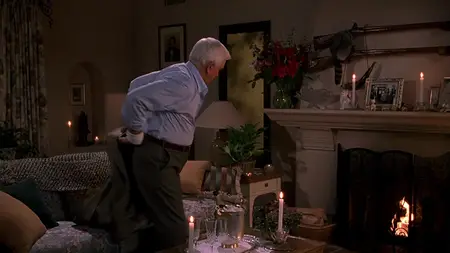 Naked Gun 33⅓: The Final Insult (1994)