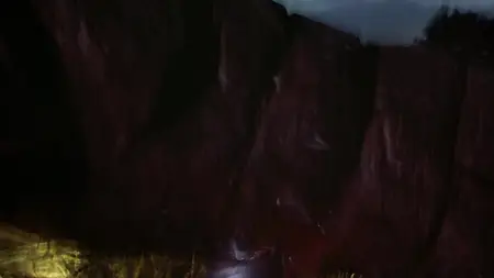 Naked Gun 33⅓: The Final Insult (1994)