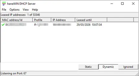 HaneWin DHCP Server 3.1.28 Multilingual