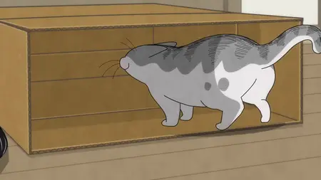 Nights with a Cat - 81