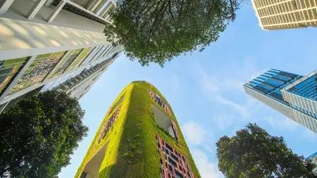 Circular Economy Essentials: From Principles To Practice