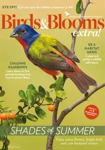 Birds and Blooms Extra - Summer 2025