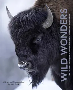 Wild Wonders: The Untamed and Enigmatic Animals that Inhabit Yellowstone National Park