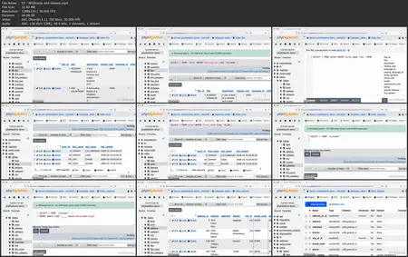 Intermediate SQL: Data Reporting and Analysis [Updated: 6/26/2025]
