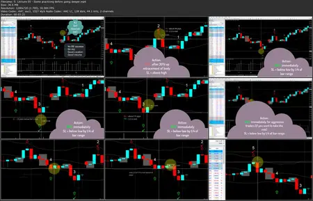 Trade Market with ONE VSA pattern + MT4 indicator (proven)