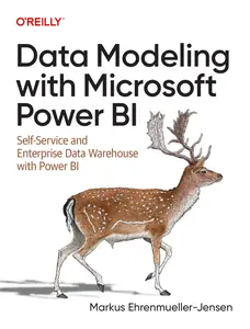 Data Modeling with Microsoft Power BI: Self-Service and Enterprise Data Warehouses with Power BI