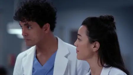 Grey's Anatomy S19E08