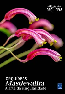 Mestre das Orquídeas - 2 Junho 2026