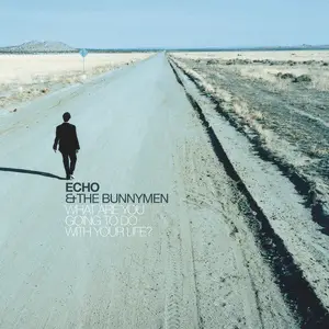 Echo And The Bunnymen - What Are You Going To Do With Your Life? (Remastered & Expanded) (2024) [24/44]