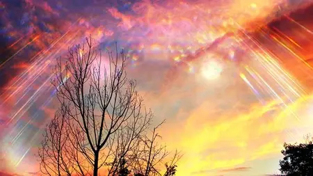 Activating A Higher Consciousness