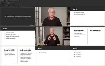Agentic AI: A Framework for Planning and Execution