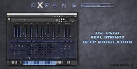 Insanity Samples EXPANSE KONTAKT