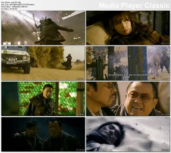 The Treasure Hunter (2009)