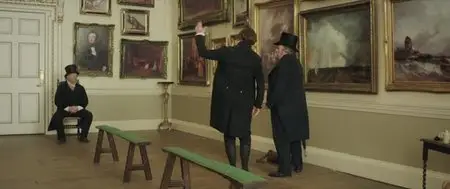Mr. Turner (2014)