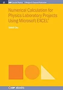 Numerical Calculation for Physics Laboratory Projects Using Microsoft EXCEL®