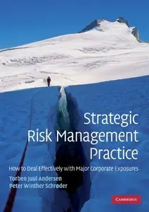 Strategic Risk Management Practice: How to Deal Effectively with Major Corporate Exposures
