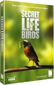 BBC - Secret Life of Birds (2012)