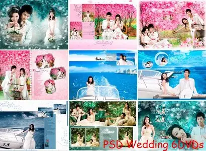PSD Wedding 6DVDs