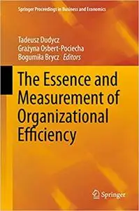 The Essence and Measurement of Organizational Efficiency (Repost)