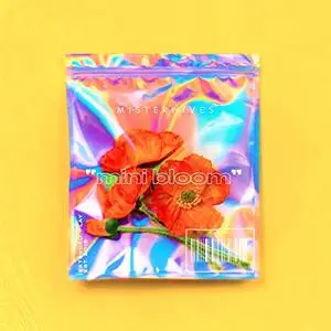 MisterWives - mini bloom (2019) [Official Digital Download]