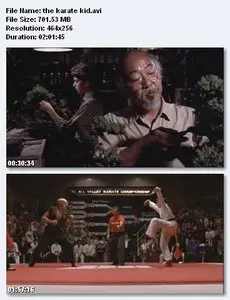 The Karate Kid (1984)