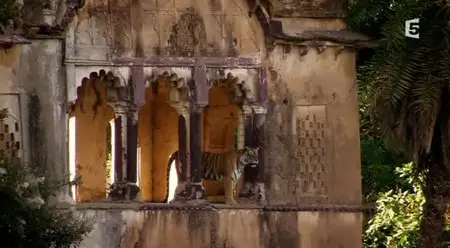 (Fr5) Le royaume de Machli (2013)