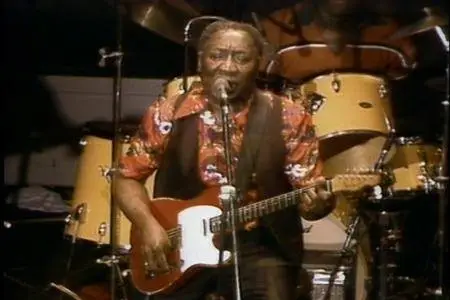 Muddy Waters - Live At The Chicago Blues Festival (1998)