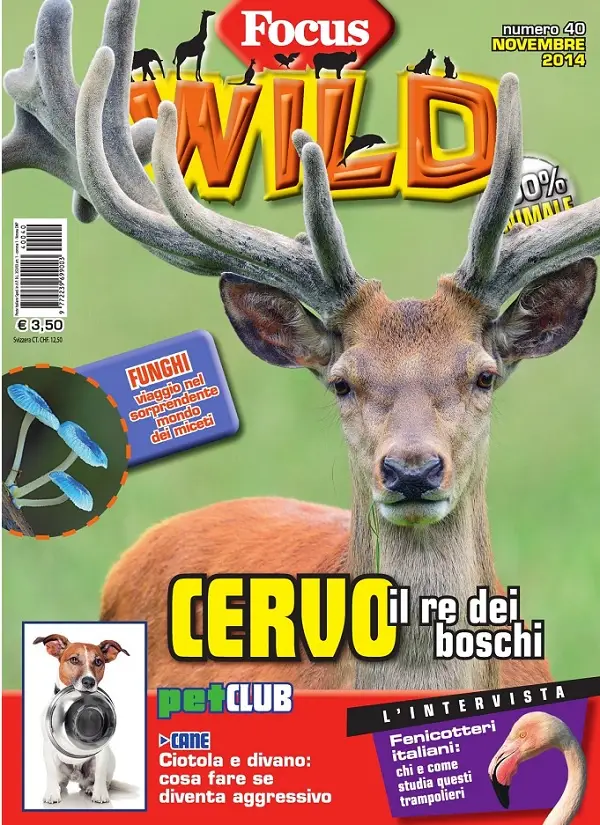 Focus Wild No.40 - Novembre 2014