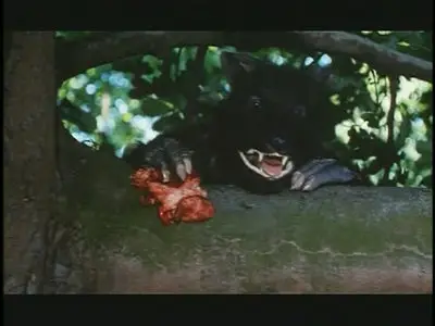 [18+] The Beast (1975)