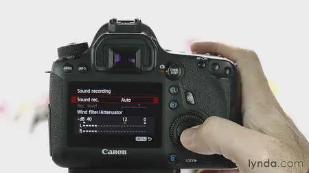 Lynda - Up and Running with the Canon 6D [repost]