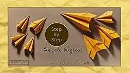 Step By Step Simple Origami More Styles Paper Fold The Plane