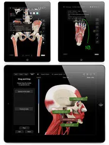 Muscle System Pro III 3.7