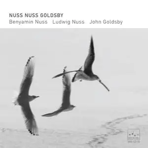 Benyamin Nuss, Ludwig Nuss, John Goldsby - Nuss Nuss Goldsby (2022)