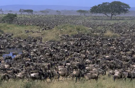 BBC Nature's Great Events - HD series