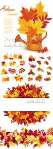 Autumn Leaves Vector Collection