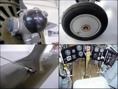 Polikarpov I-152 Walk Around