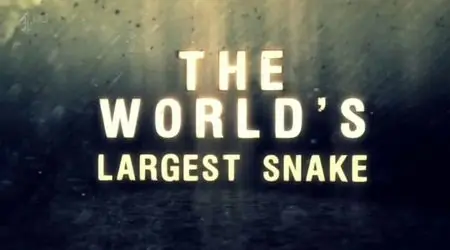 Channel 4 - The World's Largest Snake (2012)